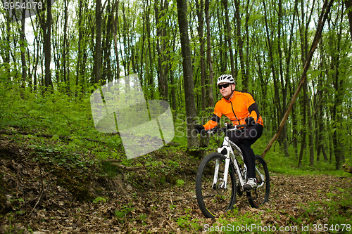 Image of Cyclist Riding the Bike on a Trail in Summer Forest