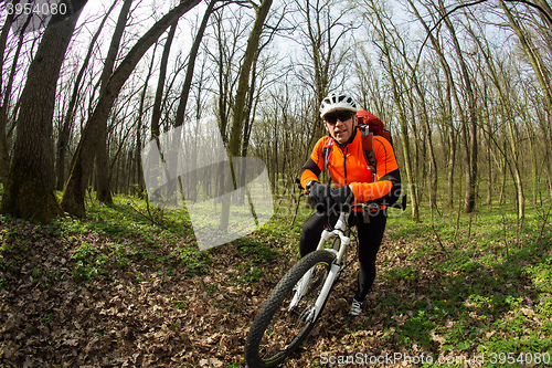 Image of Biker on the forest road