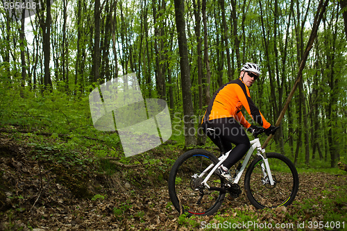 Image of Cyclist Riding the Bike on a Trail in Summer Forest