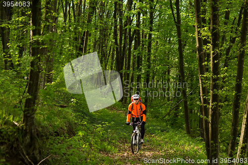 Image of Biker on the forest road