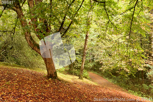 Image of Shively Park, Fall