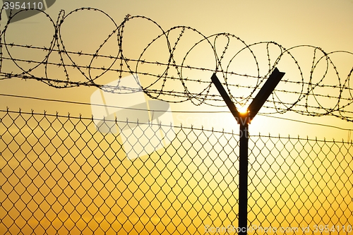 Image of Barbed wire