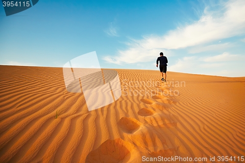 Image of Lonely in desert