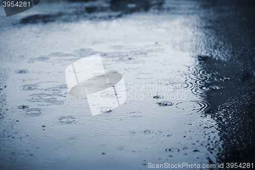 Image of Rain