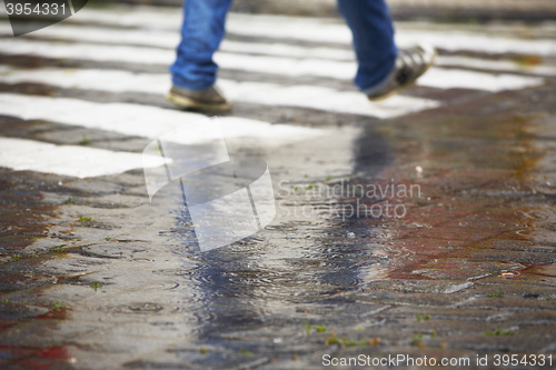 Image of Zebra crossing in rain