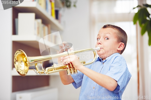 Image of Little trumpeter