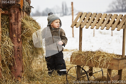 Image of Boy on the farm