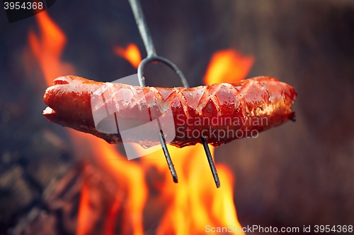 Image of Sausage