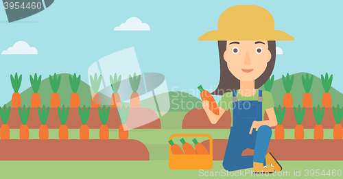 Image of Farmer collecting carrots.