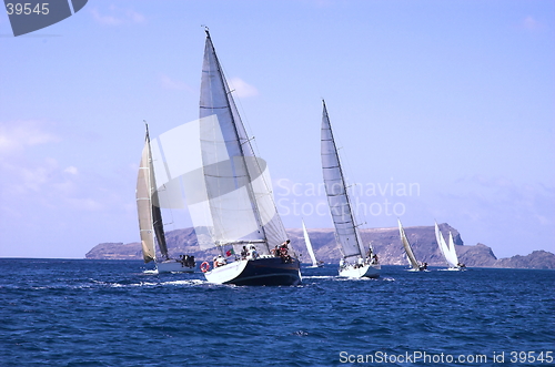 Image of sailing in championship