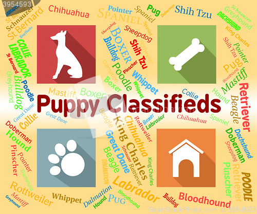 Image of Puppy Classifieds Shows Doggy Ad And Canines