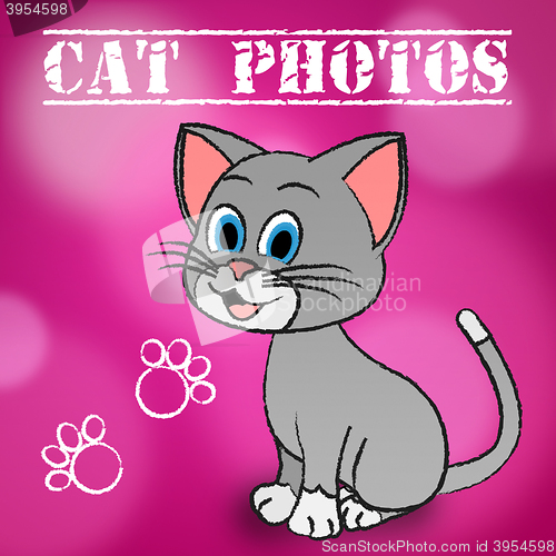Image of Cat Photos Indicates Snapshot Photography And Camera