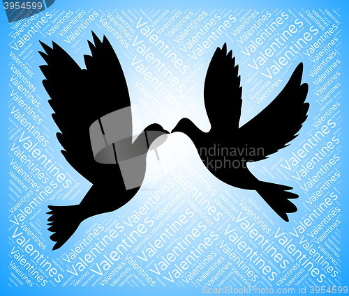 Image of Valentines Doves Represents Boyfriend Lover And Romance