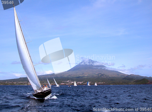 Image of boats in championship