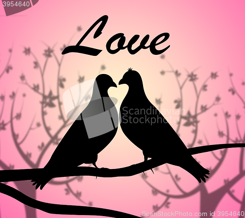 Image of Love Doves Represents Compassionate Tenderness And Heart