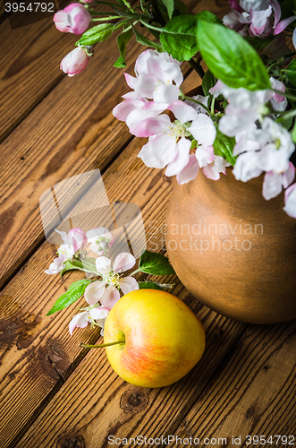 Image of Ripe apple and blossoming branch of an apple-tree in a clay jar