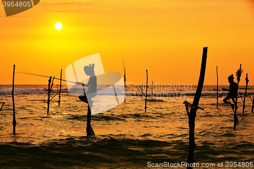 Image of Stilt fishing