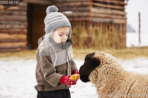 Image of Boy on the farm