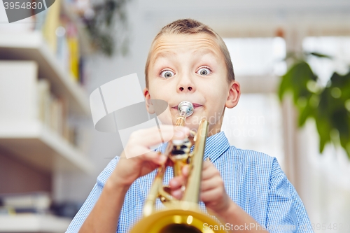 Image of Little trumpeter