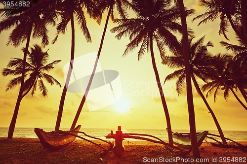 Image of Idyllic sunset