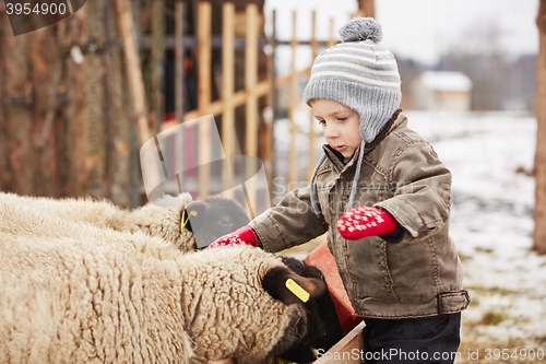 Image of Boy on the farm