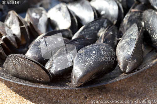 Image of Freshly cooked mussels in metal tray on sand beach
