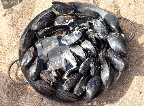 Image of Freshly cooked mussels in metal tray on sand beach
