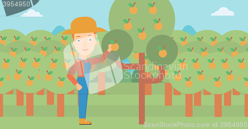 Image of Farmer collecting oranges.