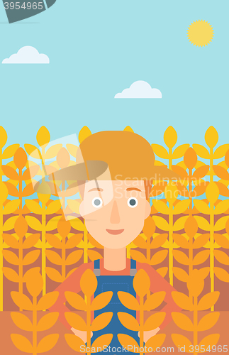 Image of Man in wheat field.