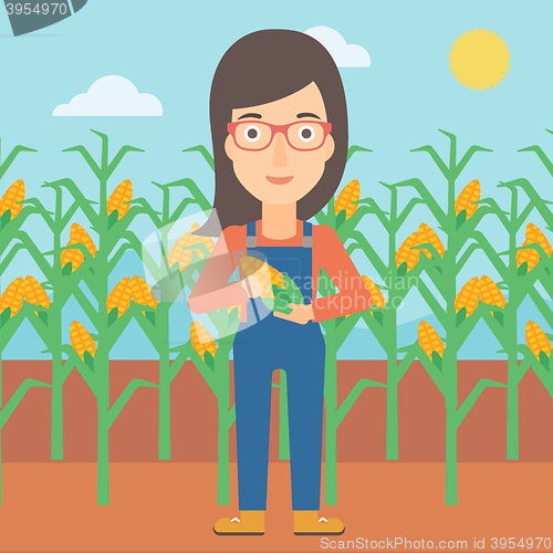 Image of Farmer holding corn.