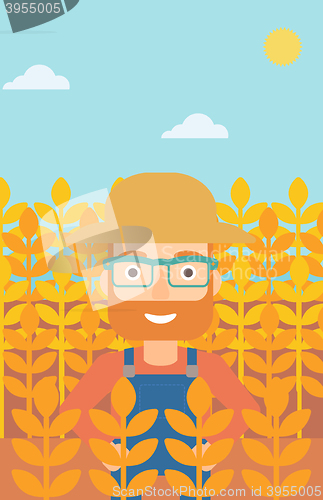 Image of Man in wheat field.