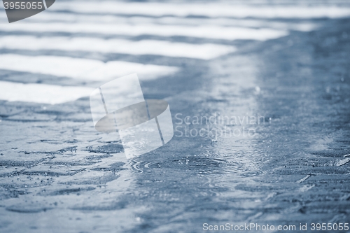 Image of Zebra crossing in rain