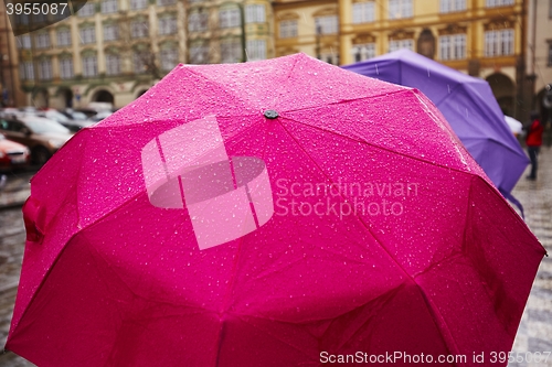 Image of Rain in the city