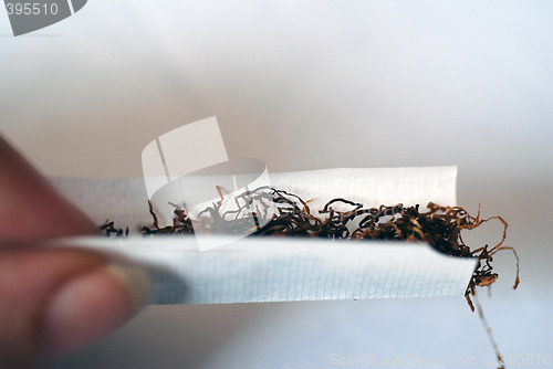 Image of Rolling a Cigarette