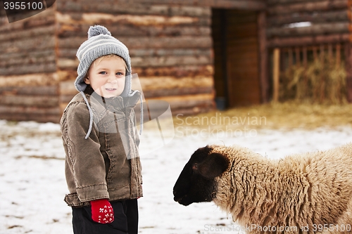 Image of Boy on the farm