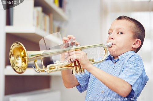 Image of Little trumpeter