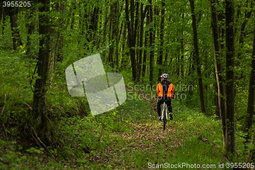 Image of Biker on the forest road