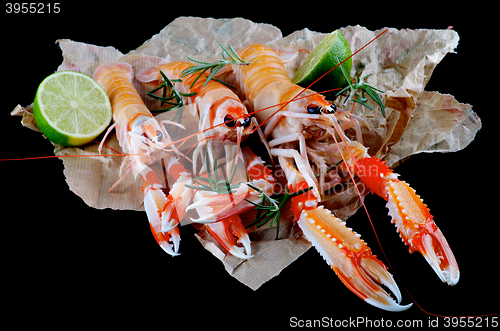 Image of Delicious Raw Langoustines