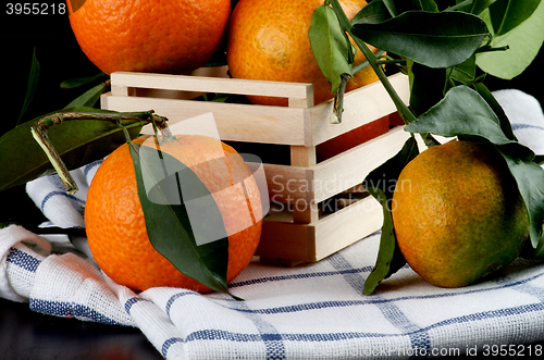 Image of Ripe Tangerines with Leafs