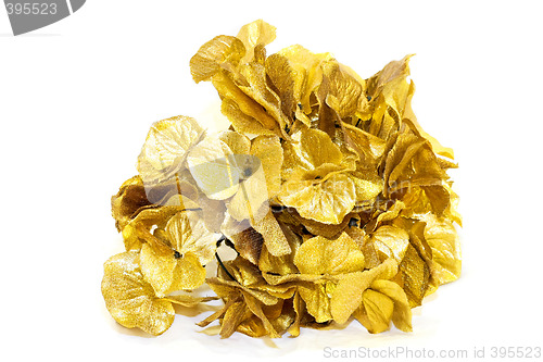 Image of Gold leafs