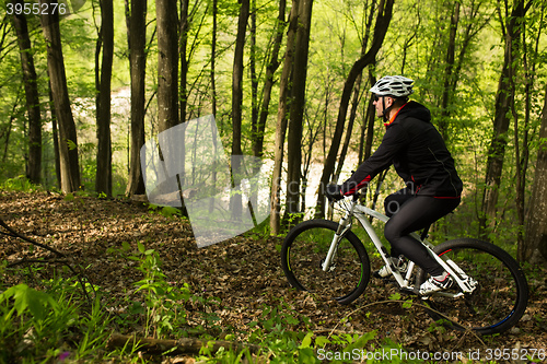 Image of Cyclist Riding the Bike on a Trail in Summer Forest