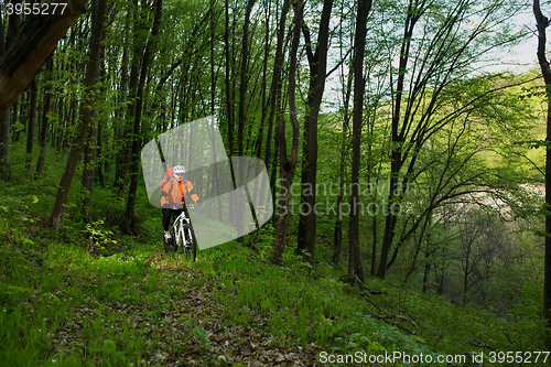 Image of Biker on the forest road
