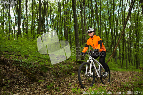 Image of Cyclist Riding the Bike on a Trail in Summer Forest