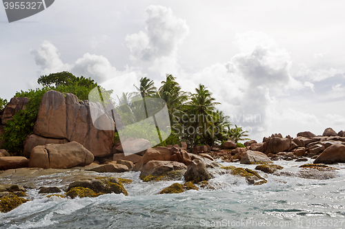 Image of Tropical island St. Pierre, Seychelles