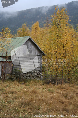 Image of autumn