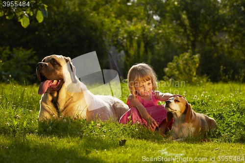 Image of Girl with dogs