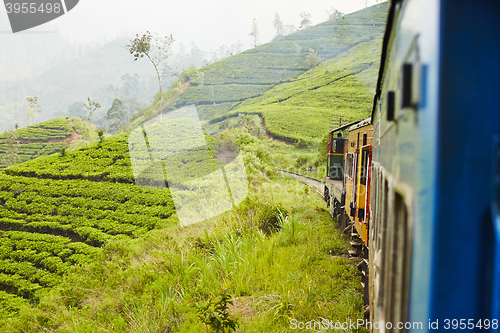 Image of Train in Sri Lanka