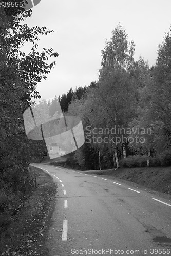 Image of Autumn road in B/W