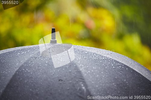 Image of Heavy rain