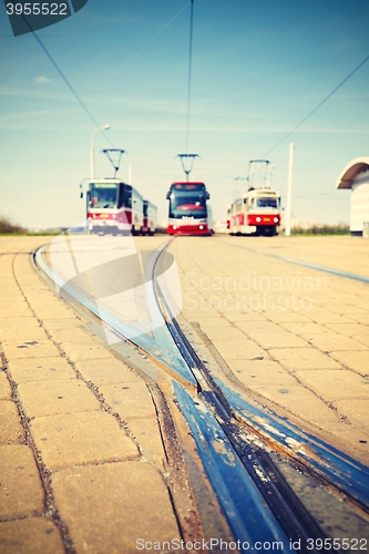 Image of Trams